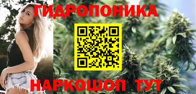 индика Малоярославец