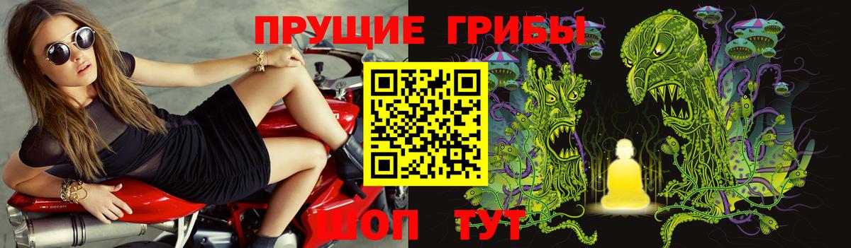 Псилоцибиновые грибы Magic Shrooms Губаха
