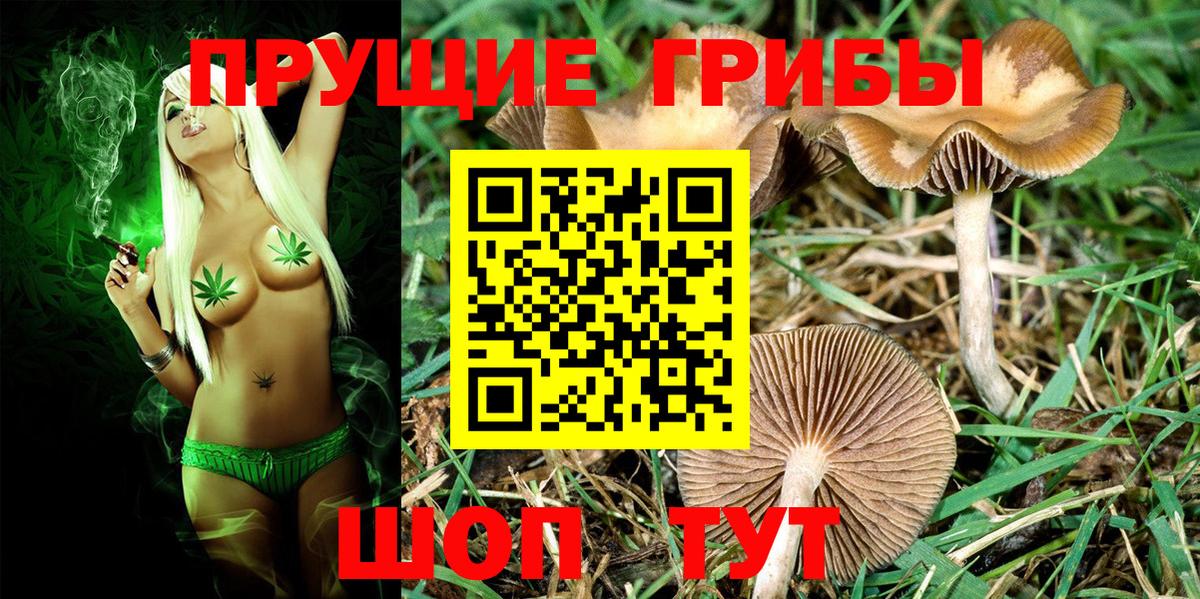 Губаха  Галлюциногенные грибы прущие грибы  Псилоцибиновые грибы Magic Shrooms  Вход с VPN 