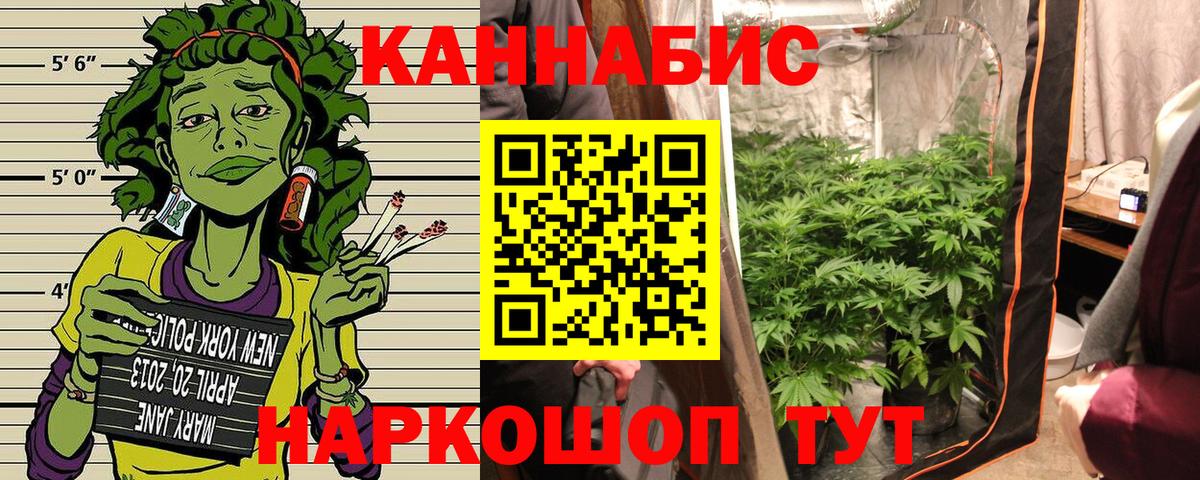 Марихуана семена Губаха